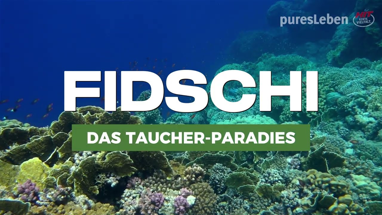 Fidschi - ein Paradies für Taucher