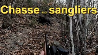 CHASSE AUX SANGLIERS. Trois battues avec trois scènes magnifiques