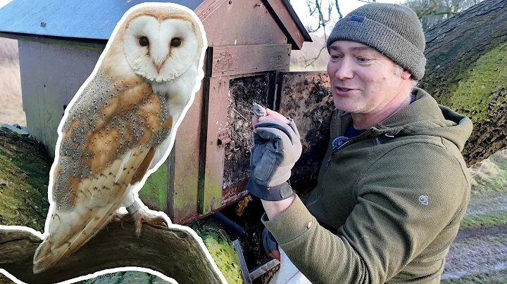 Helping Barn Owls: Cleaning Out Nest Boxes | Wildlife Conservation | Robert E Fuller