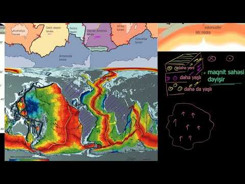 Video: Plitələrin tektonik nəzəriyyəsinin sübutu nədir?