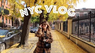 NYC VLOG!