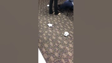 Programming Finch Robots using Snap!