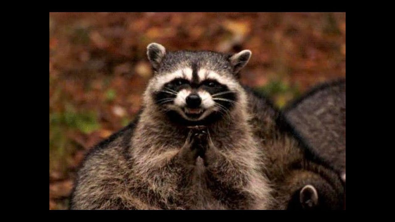 Touhou 13.5 Забег 4 переводчик с бенгальского