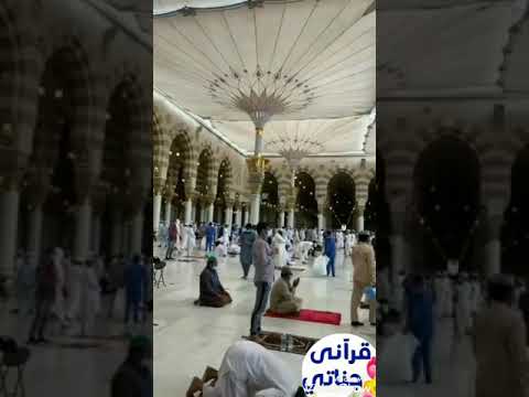 هو أحمد و محمد قلبي محمد وبهديه نتعبد