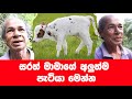 මිනිසුන් විශ්වාස කරන්න බෑ