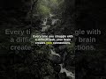 Your brain is not a fixed stone, it is a muscle that grows.