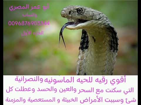 أقوي رقيه للحية الماسونيه والنصرانية التي سكنت مع السحر والعين والحسد وعطلت كل شيء وسببت الأمراض