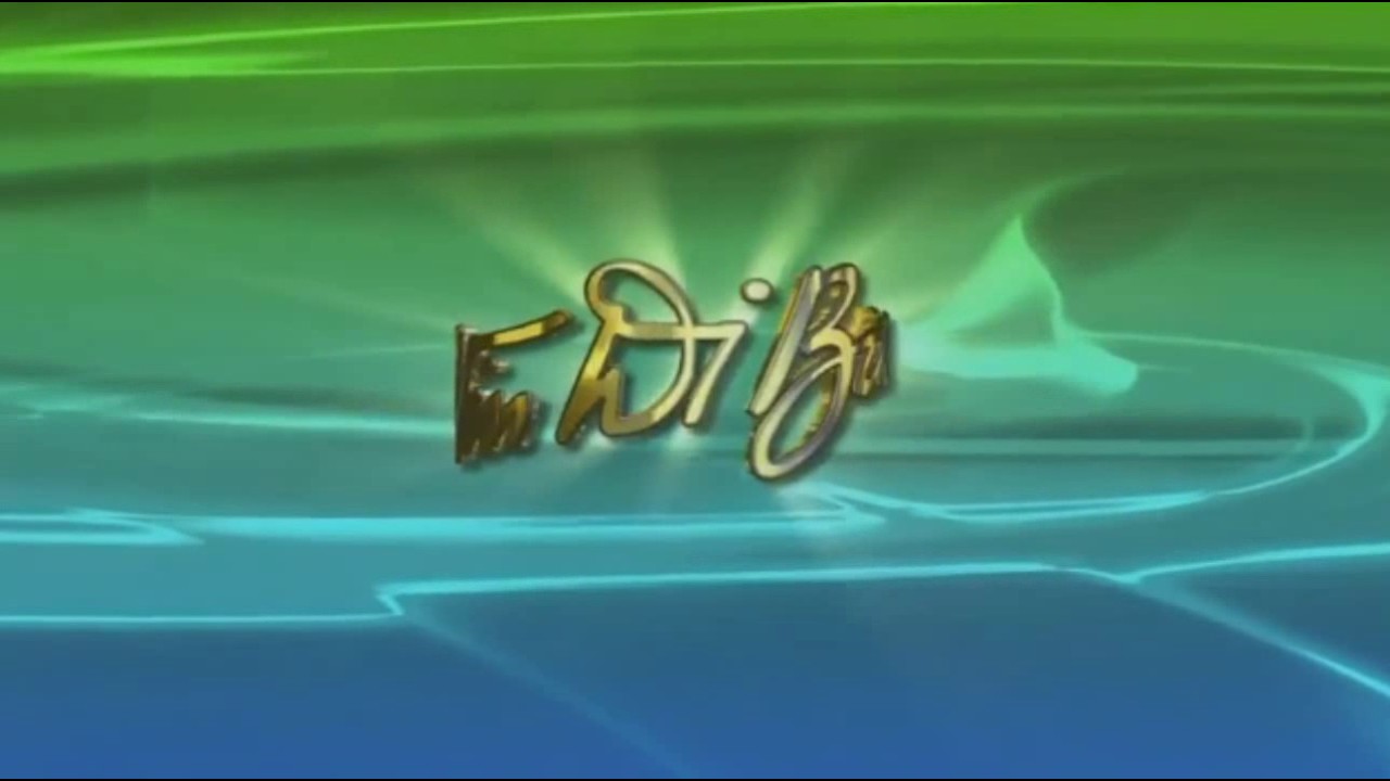 ABC Entertainment/ Vin Di Bona Productions (2016/ With a ABC Generic Theme)