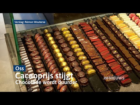 Cacao wordt alsmaar duurder, Bossche bol daarmee ook prijziger I Dtv Oss & Bernheze