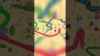 Snake Clash : Gameplay Walkthrough Part 8 Tutorial NEW Mobile Game (Android,ios)