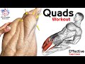 6 Easy Exercises Quadriceps Workout | Leg Day