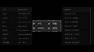 Tipos de datos en Java.Tipos de datos primitivos/Tipos de referencia
