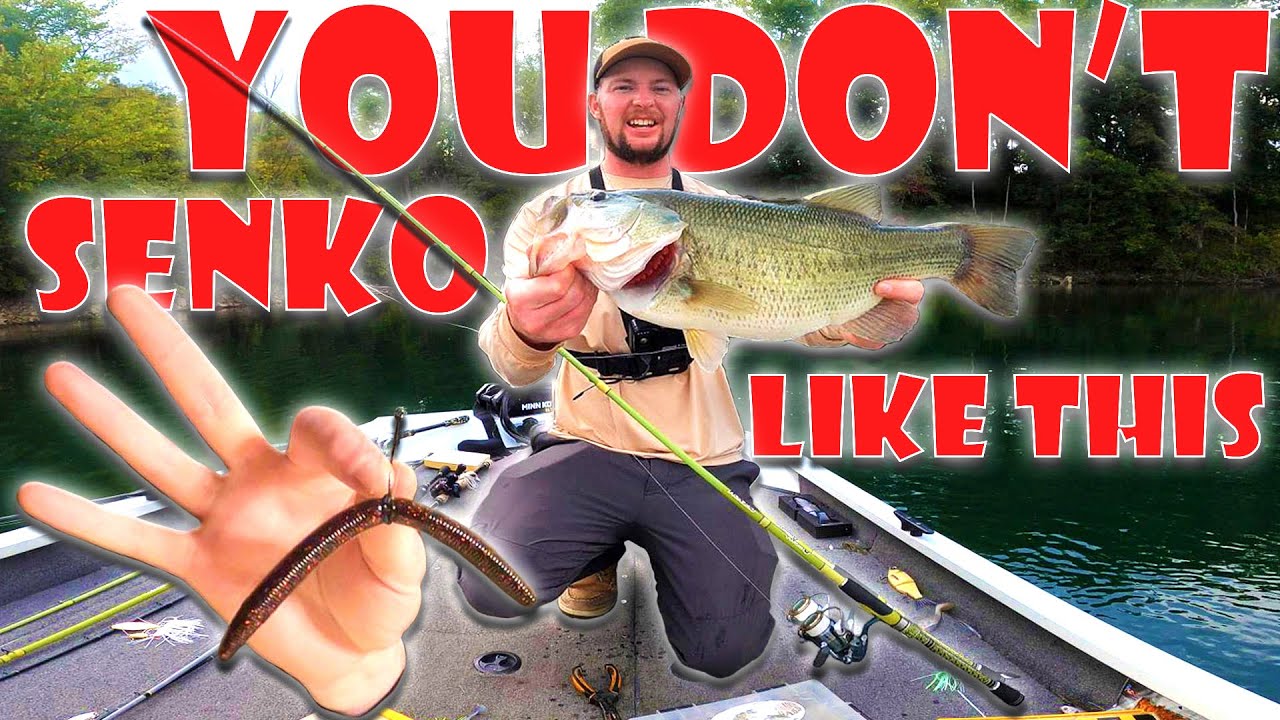 I bet you haven't used a Senko like this bass fishing!