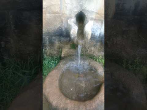 قصر الأمير بشير الفيديو كامل عالقناة