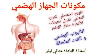 مكونات الجهاز الهضمي للأستاذة حماني ليلى