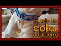 Tip: Cómo hacer un collar para perro, hazlo tú mismo!!