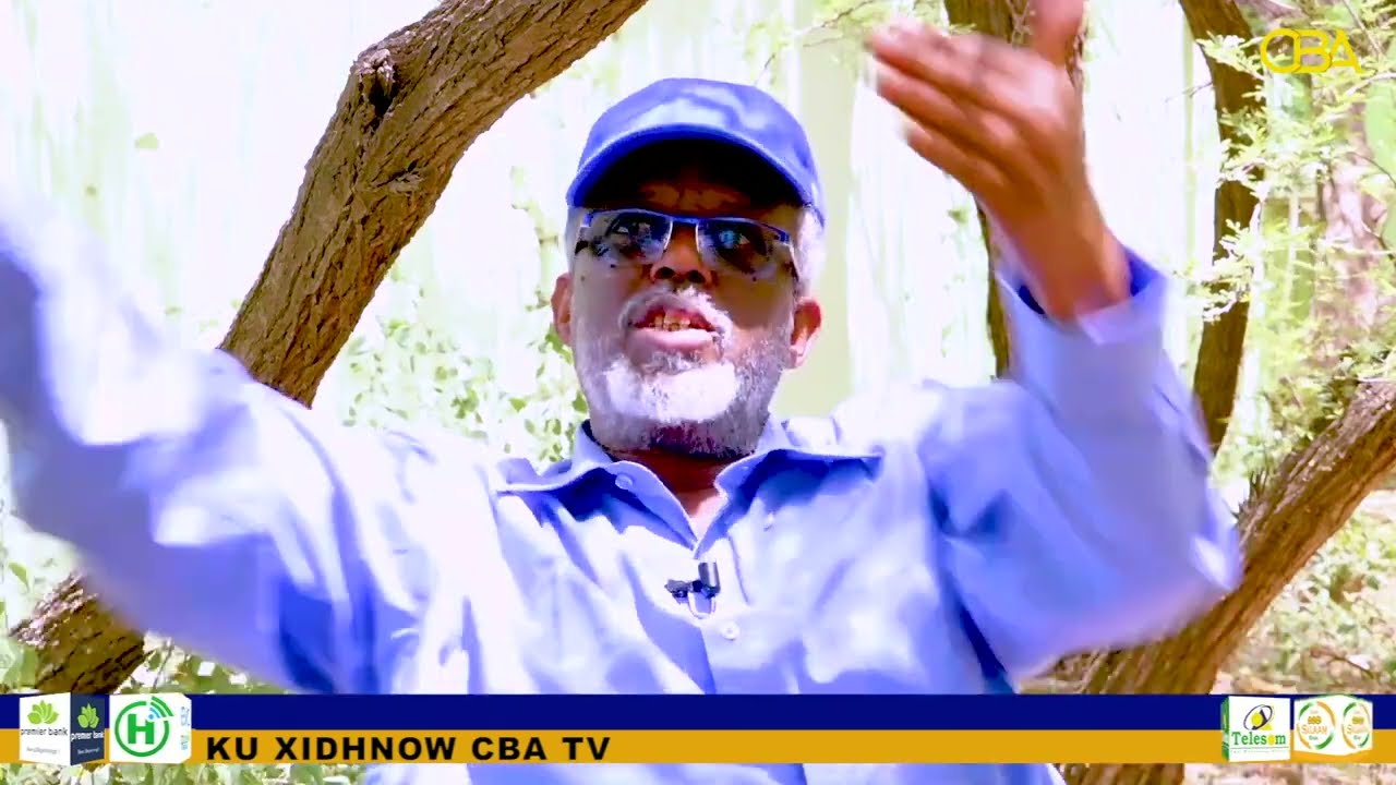 WaayoJoog: Gudagalkii Hargeysa  31 May 1988  Mujaahid Weere.