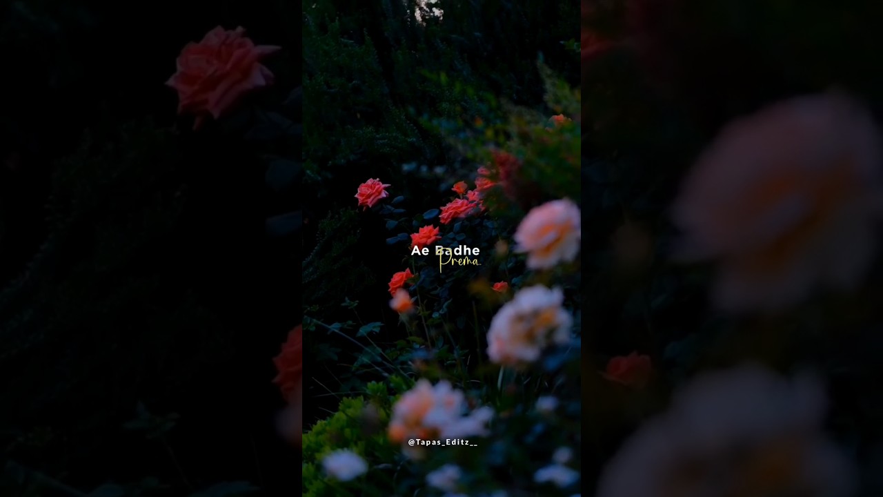 Ae Badhe Prema 💗🖇️🐼!! Odia Status Video!! 