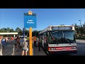 Disney Buses At Disney’s POP Century Resort October 2020
