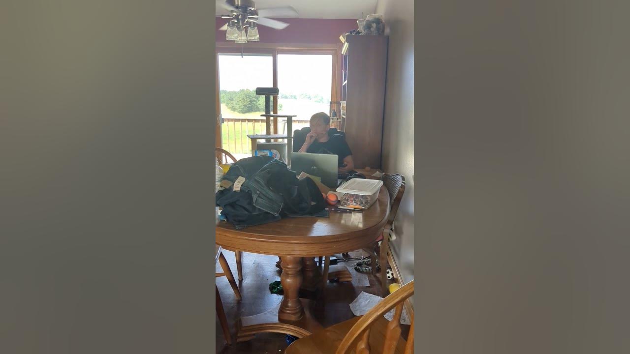 My dogs like to howl with the harmonica.😂 YouTube