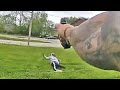 Officer Shoots Fleeing Suspect Who Reached Down To Pick Up a Handgun He Dropped