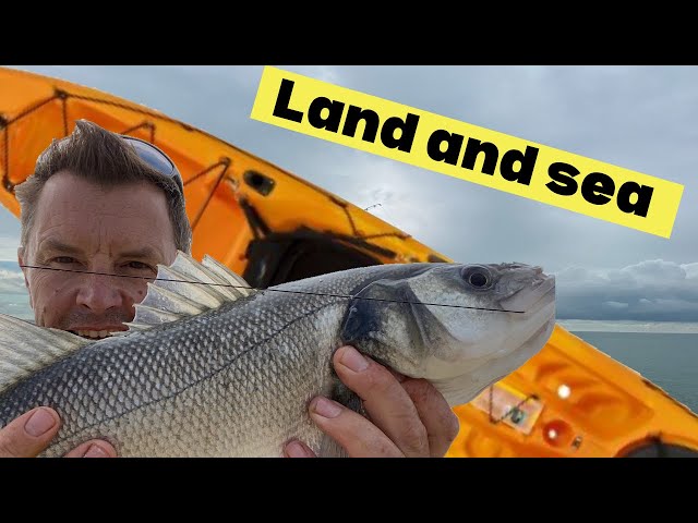 Bass, Mackerel and a Gurnard - Sea fishing Vlog July 2019 