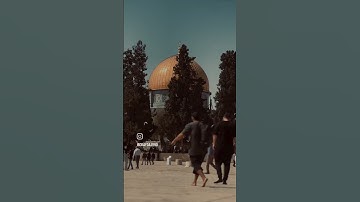 سورة الكوثر • بصوت الشيخ ابراهيم محمد
