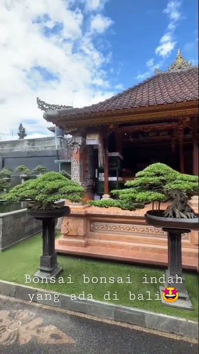 Suasana taman bonsai di kota Bali