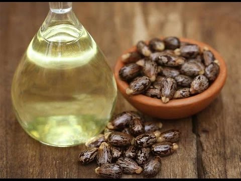 فوائد زيت الخروع لمفاصل المعدة والأرق والمغص والبواسير وفوائد زيت الخروع لا تعد ولا تحصى يوتيوب