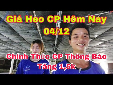 Giá Heo Hơi