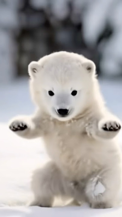 Bear dancing to vroom vroom beat      #ai #cute #bear #dancing #dance #animals #silly #funnymemes