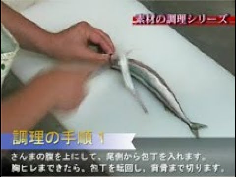 秋刀魚の捌き方 Youtube