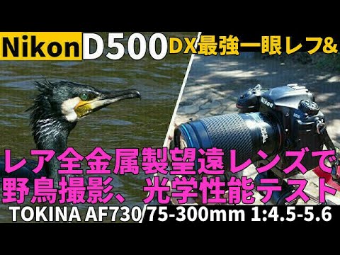 ジャンクレンズ レアな全金属製AF望遠レンズを220円で発見して