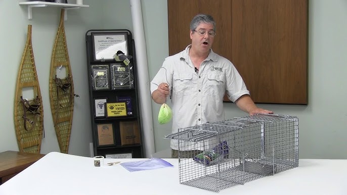 New Video: How to Set the Little Giant® Live Animal Traps - Miller  Manufacturing Company Blog