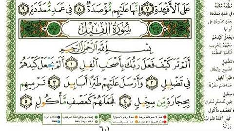 105 سورة الفيل | الشيخ عبدالرحمن العوسي