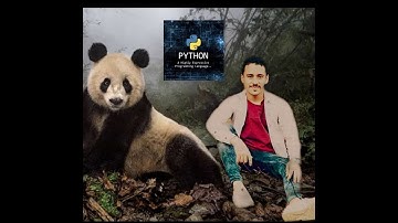 شرح عربي Why do some pandas commands end with parentheses (and others don