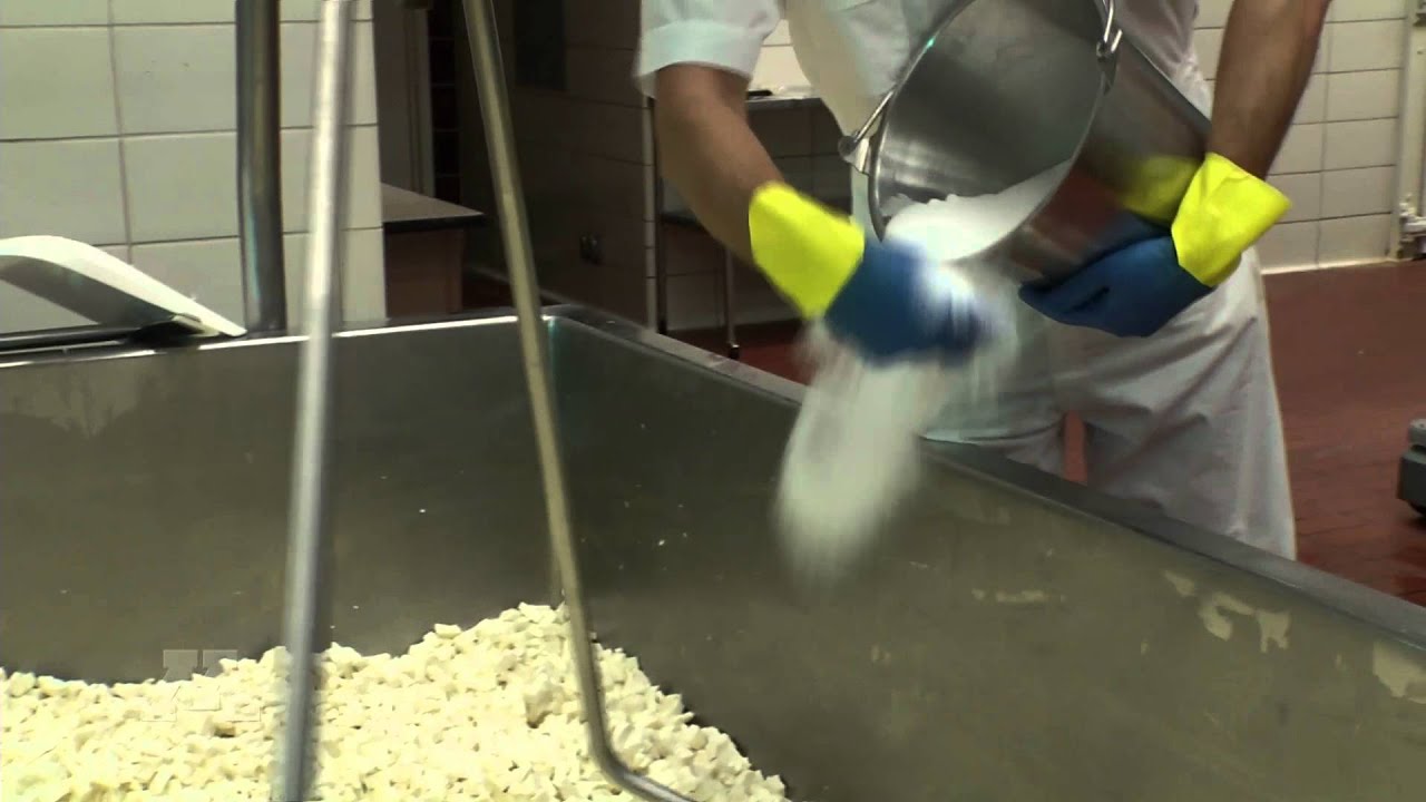 camera iphone 8 plus apk Cow to Cracker: Making Cheese at the University of Minnesota