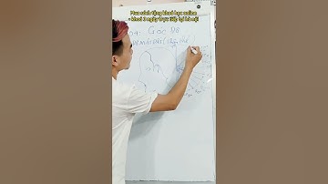 Góc Độ Trong Cắt Tóc #cattoc #gocdocattoc #daycattoc #daycattoccoban #daycattocnangcao #xuhuong