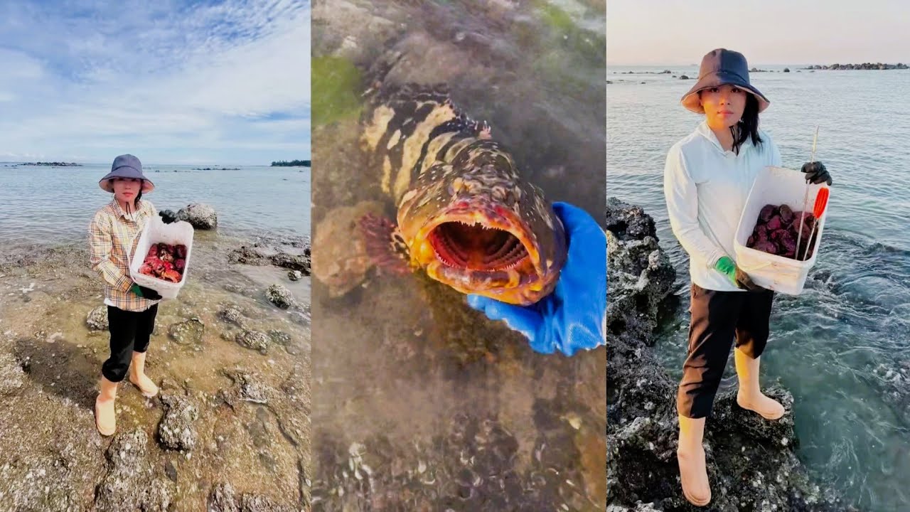 Catch fish🐳catch crabs in shallow water🐋 Fish video 