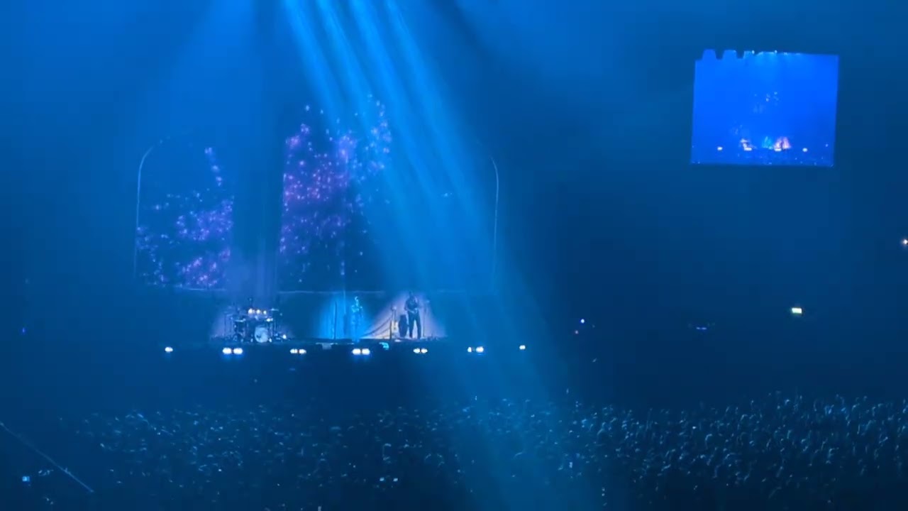 Absolutely Performing 