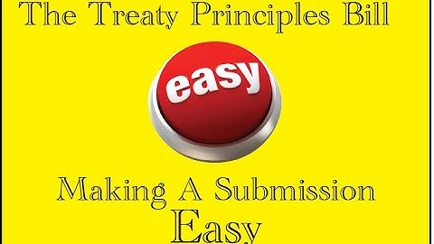 Making A Submission For The Treaty Principles Bill Made Easy