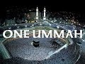 Unite  as  one ummah