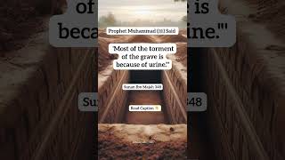 Most Of The Torment Of Grave Is.........