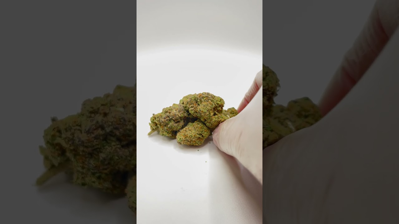 Alien Lemon Haze CBD 3,5g