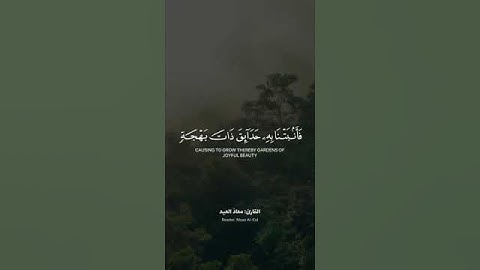 القارئ معاذ العيد - تلاوة هادئة لما تيسر من سورة النمل