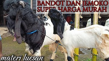 Materi PE super spek halus diNKTFARM Wonosobo  harga murah masih nego