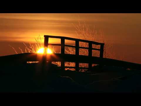 Video: Kaikkea Tiedettävää Auringonnousuliikkeestä