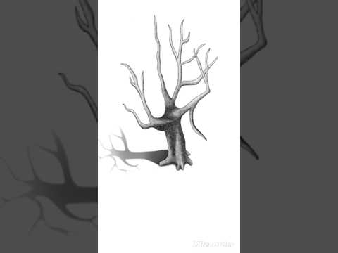 رسم شجرة ثلاثية الأبعاد بقلم الرصاص