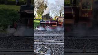 Athelstan on a winter morning | Moors Valley Railway