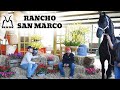 Rancho San Marco "RSM" - Caballos Frisones